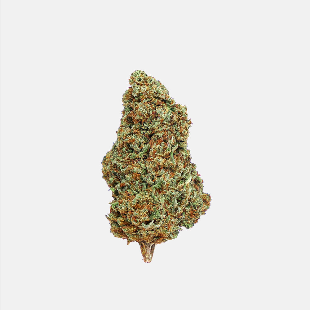
                  
                    Chocolope CBD 🍫
                  
                