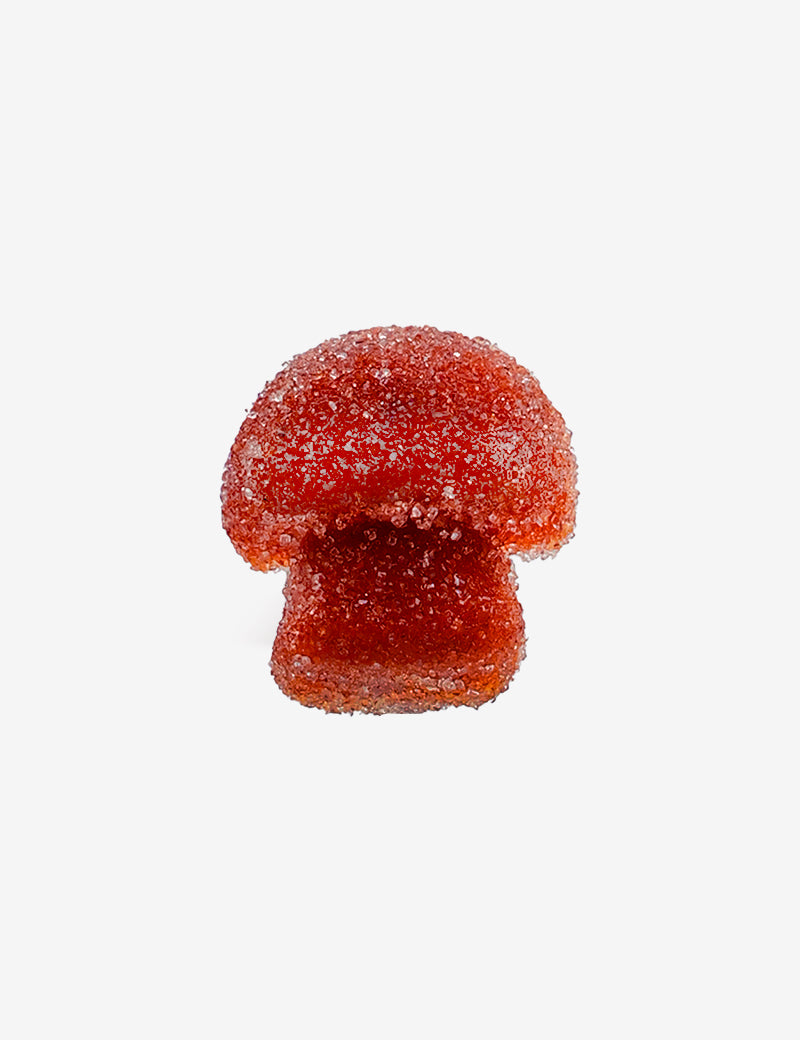 Shroomz (Old Formula) - Watermelon