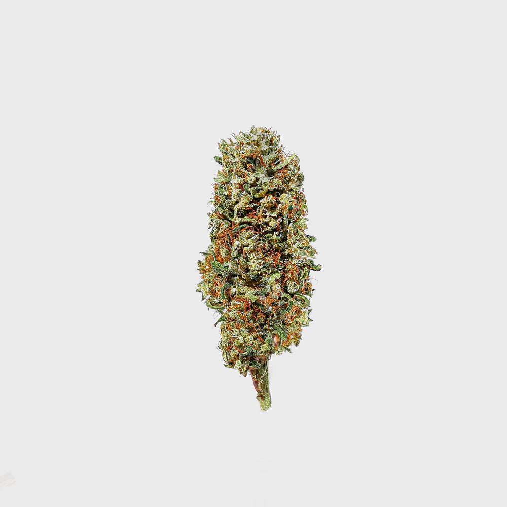 
                  
                    Mandarin Haze CBD 🍊
                  
                