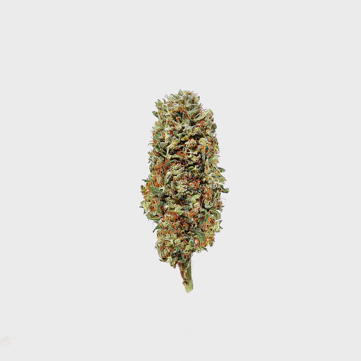 
                  
                    Mandarin Haze CBD 🍊
                  
                