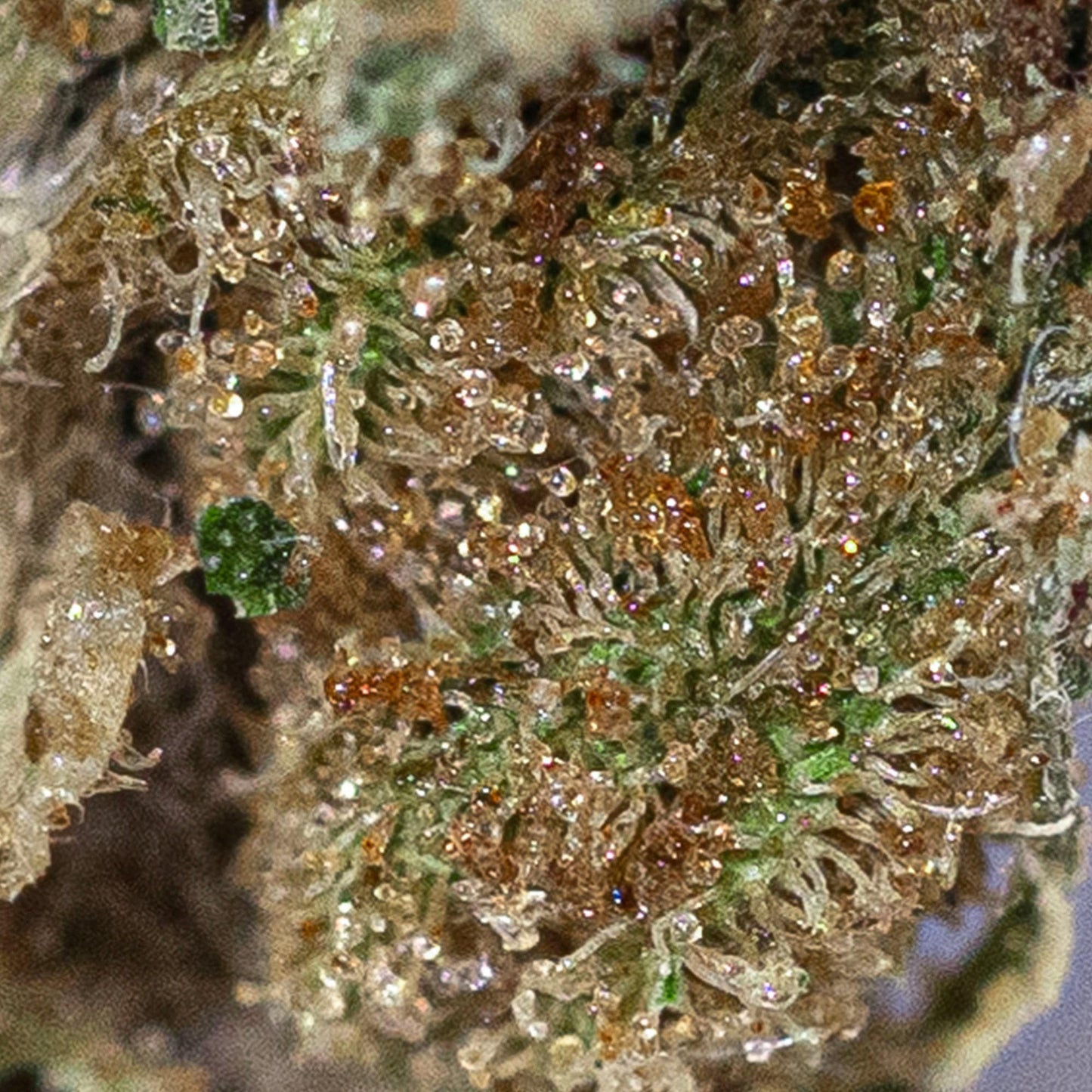 
                  
                    wedding-cake-cbd-herbs-macro
                  
                