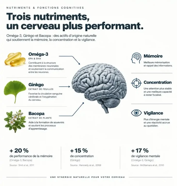 Infographie sur les bienfaits des compléments alimentaires pour la mémoire et les fonctions cognitives